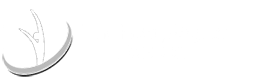 Thuisverpleging Pessers